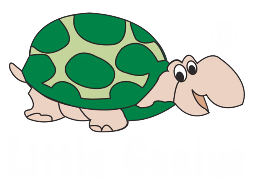 Logo of theLittle Genius Toys pvt. Ltd. 
